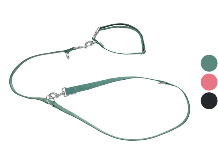 Collar y correa para perro
