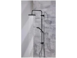 Conjunto de ducha mural