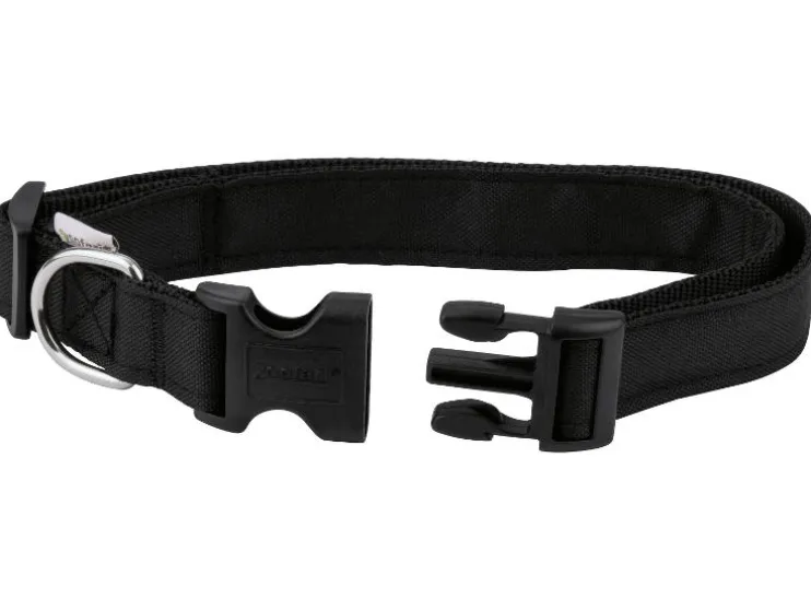 Correa para correr / Cordón de arrastre / Collar para perro con correa para perro.