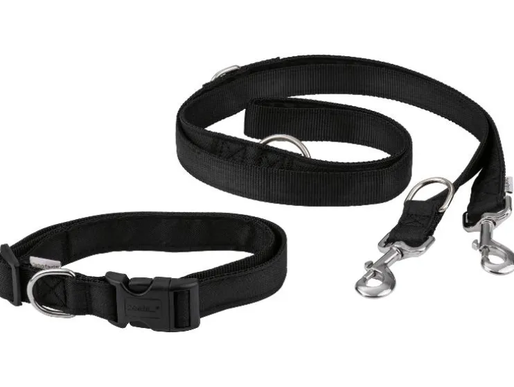 Correa para correr / Cordón de arrastre / Collar para perro con correa para perro.
