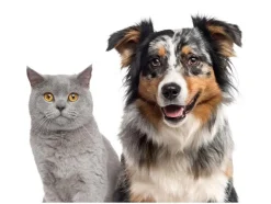 Cortapelos de animales