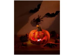 Decoración LED de Halloween