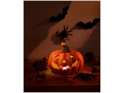 Decoración LED de Halloween