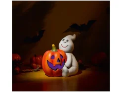Decoración LED de Halloween