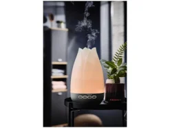 Difusor de aroma ultrasónico »LADL 300 A1«