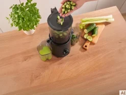 Extractor de zumo lento Premium »SSJBM 400 D1«