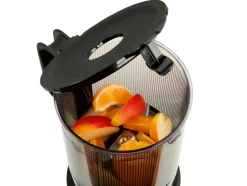 Extractor de zumo lento Premium »SSJBM 400 D1«