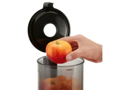 Extractor de zumo lento Premium »SSJBM 400 D1«