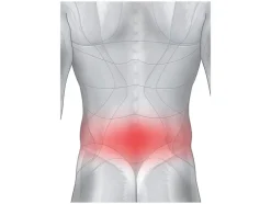 Faja lumbar con ballenas