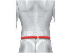 Faja lumbar con ballenas