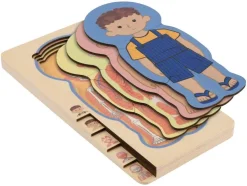 Juego de letras encajables / Puzle de números / Puzle del cuerpo