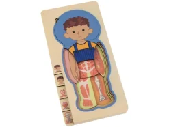 Juego de letras encajables / Puzle de números / Puzle del cuerpo