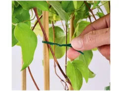 Juego de tutores / Juego de alambre para plantas