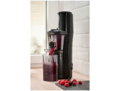 Jugo lento »SSJBK 300 B3«