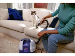 Limpiador de manchas »SpotClean Mini«