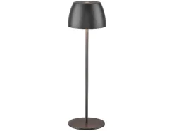 Lámpara de mesa LED recargable 41,9 cm