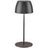 Lámpara de mesa LED recargable 20 cm