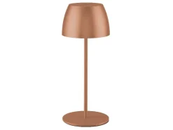 Lámpara de mesa LED recargable 20 cm