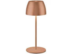Lámpara de mesa LED recargable 20 cm