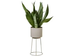 Maceta con soporte, Ø 13 cm.