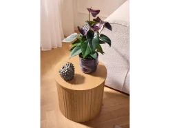 Mesa auxiliar