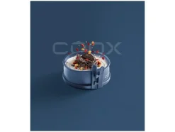 Molde desmontable mini con fondo de cristal Ø 12 x 5 cm.