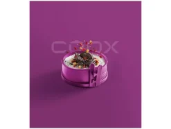 Molde desmontable mini con fondo de cristal Ø 12 x 5 cm.