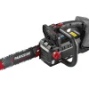 Motosierra de poda a batería de 40 V »PPAKS 40-Li B2«, sin batería ni cargador.