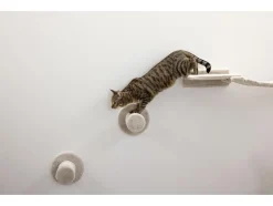 Pared de escalada para gatos