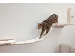 Pared de escalada para gatos
