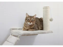 Pared de escalada para gatos