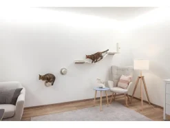 Pared de escalada para gatos