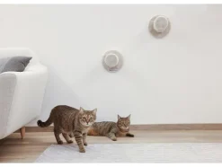 Pared de escalada para gatos