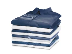Planchacamisas »1800 W 00384«, 1800 W.