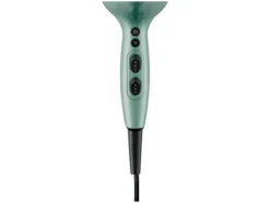 Secador de pelo iónico prémium