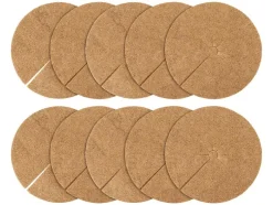 Set de 10 rodajas de coco