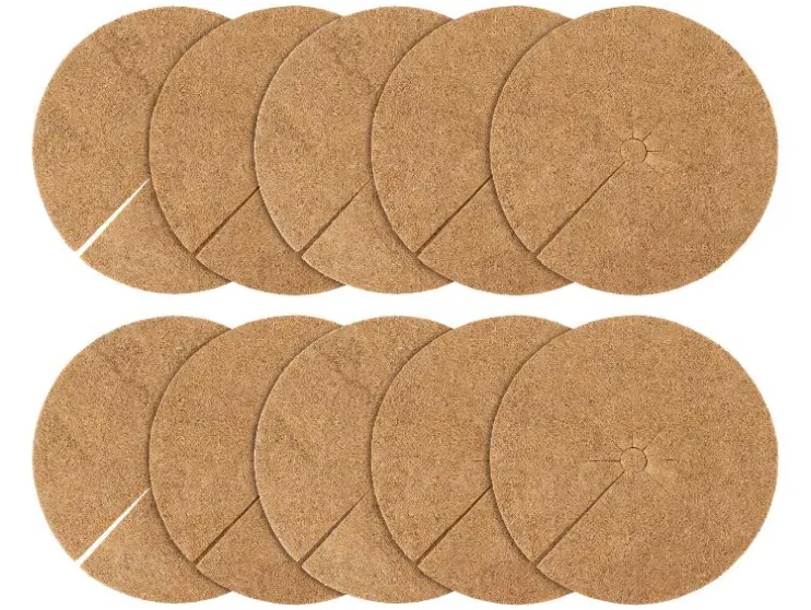 Set de 10 rodajas de coco