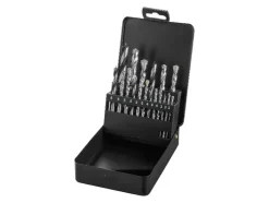 Set de taladro percutor atornillador recargable de 20 V »PSBSAP 20-Li D4«, con batería y cargador.
