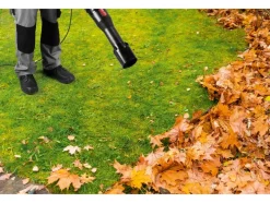 Soplador de hojas eléctrico axial »PPELB 1650 A1«