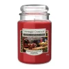 YANKEE CANDLE Vela aromática Large Jar Festive Wonderland de vidrio 538g